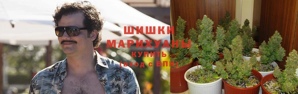 мескалин Магас