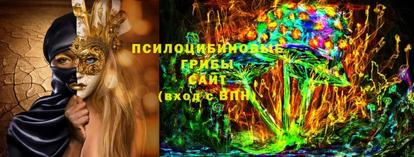 молекула духа Майский