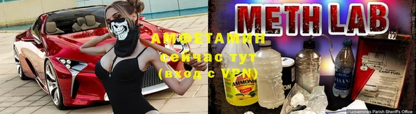 молекула духа Майский