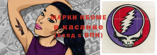 сатива Липки